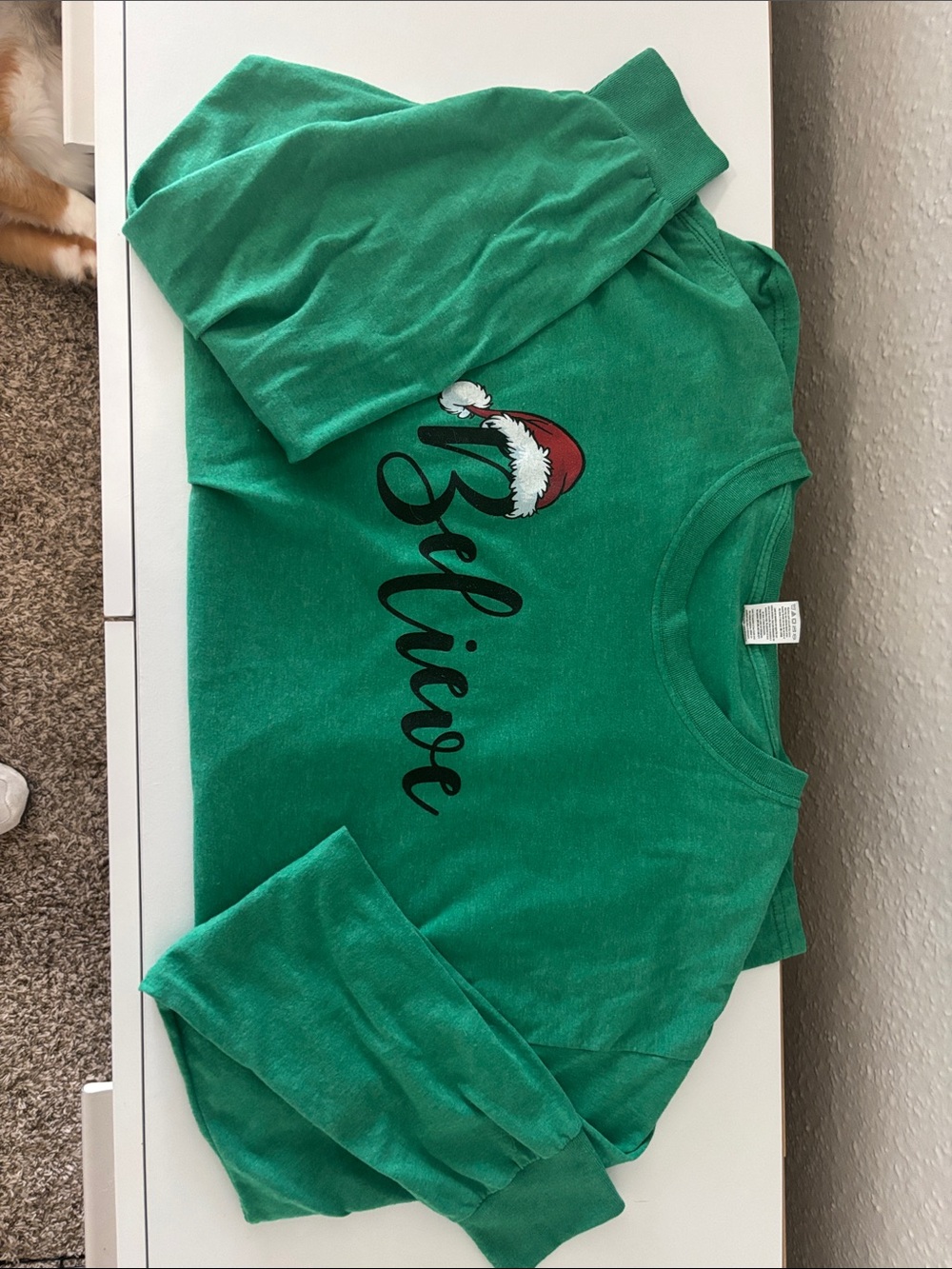 Green 'Believe' Holiday Sweatshirt with Santa Hat Graphic